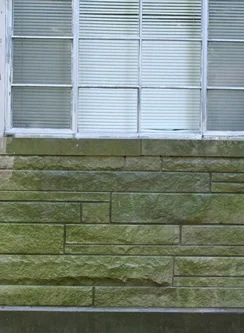 Façade envahie de dépôts verts et de mousses avant traitement