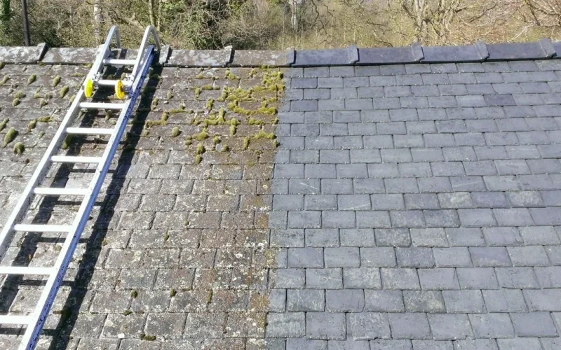 Tous savoir sur le nettoyage toiture avec un anti mousse